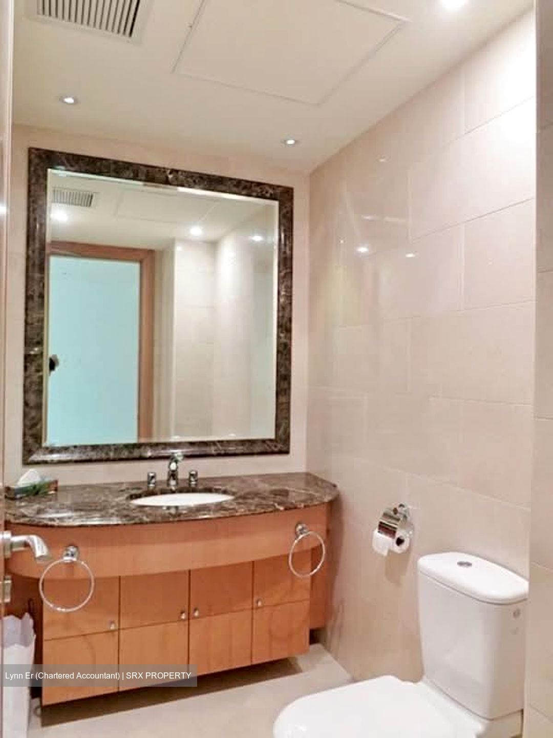 Ardmore Park (D10), Condominium #568859851